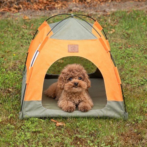 Easy access green - easy, pet