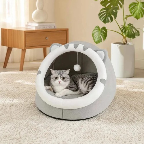 Pet cute cat warm - cat,
