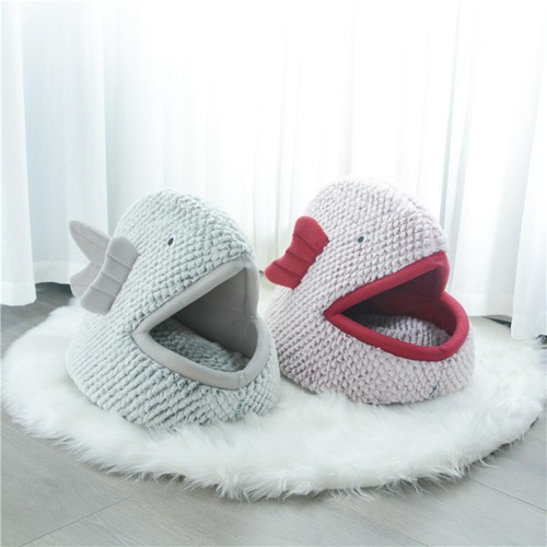 Cute cat bed - cute, kitten