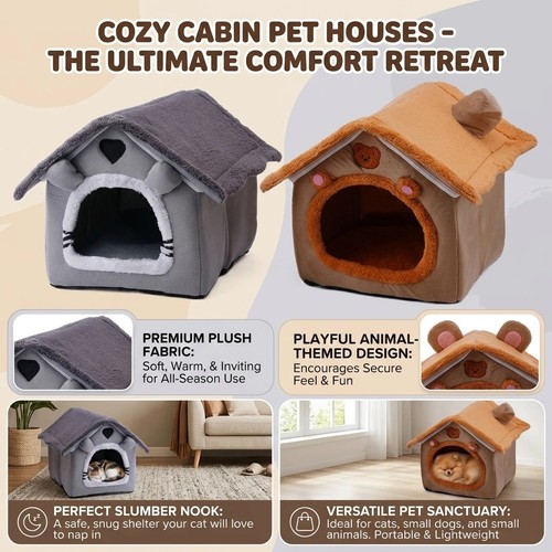 Cat dog cave - dog, winter