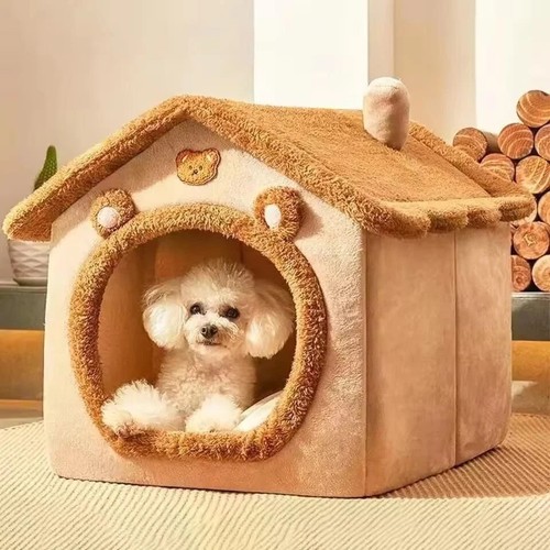 Pet cat kitten - dog, beds