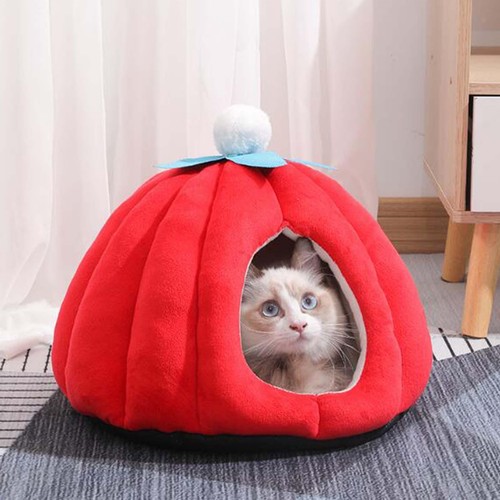 Cat bed enclosed - enclosed, pumpkin
