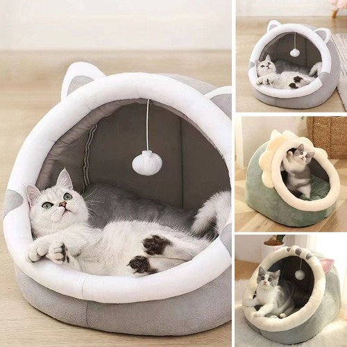 Semi enclosed dome dog - dome,