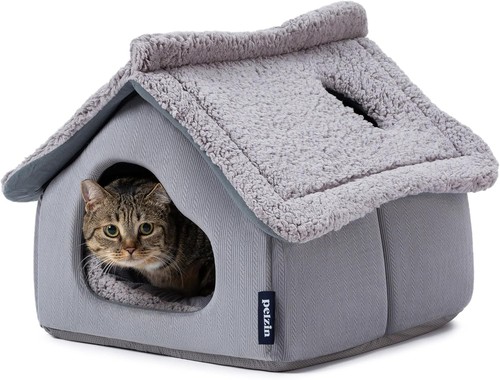 Cute animal covered cat - cute,