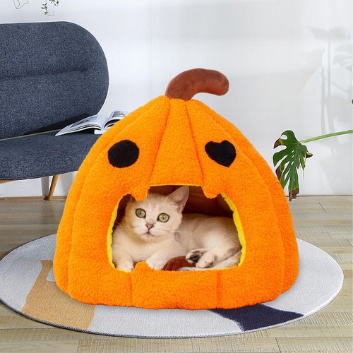 Cat nest house dog - house,