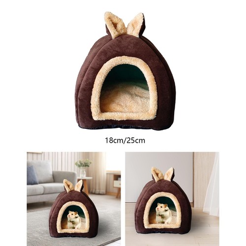 Small animal pet - pet, bed