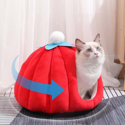 Cat bed enclosed pumpkin - bed,