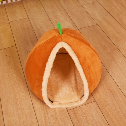 Cat house dog - house,