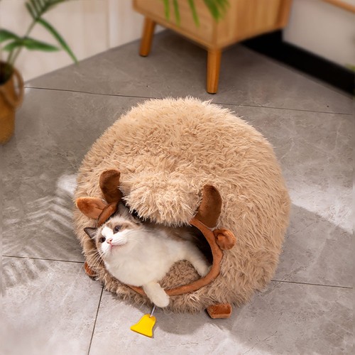 Pet bed cat - pet, dog