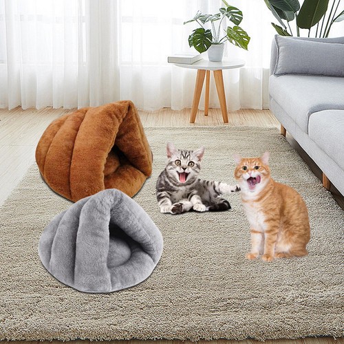 Slipper shaped dog - shaped, kitten