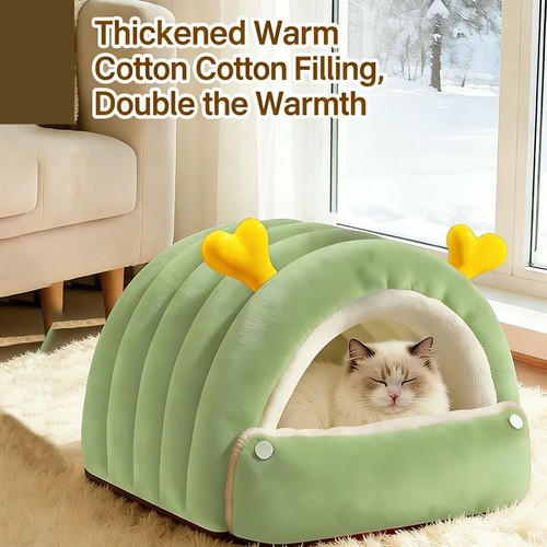 Portable enclosed cat - enclosed, mat