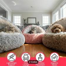 2.0 Upgraded Thickened Version