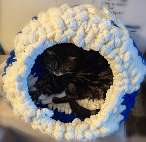 Handmade plush enclosed - plush,