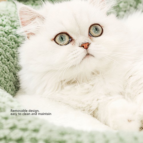 Cartoon cat bed semi - cat,
