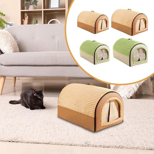 Cat house pet winter - cat,