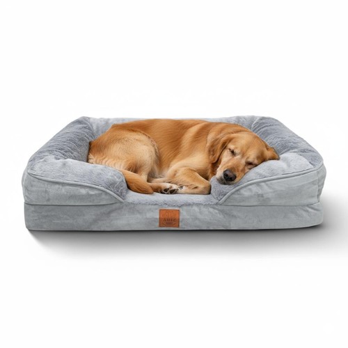 Orthopedic memory foam - orthopedic, dog