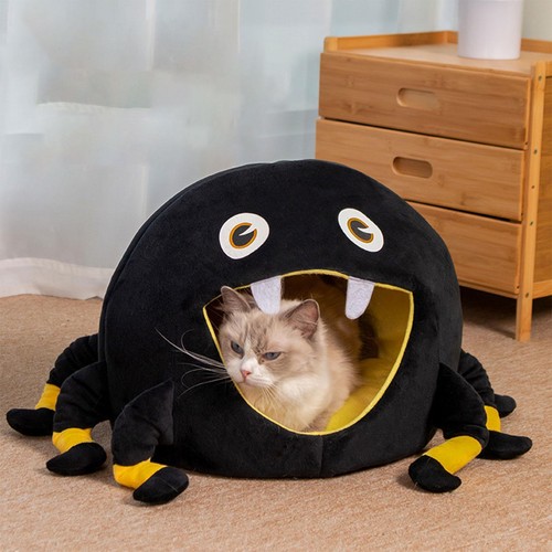 Pet cat dog - dog, semi