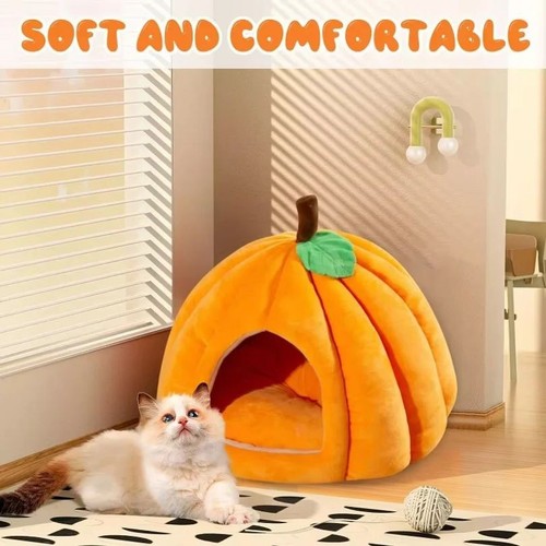 Creative pumpkin pet house - pumpkin,