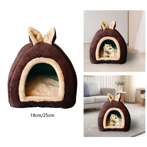 Small pet animals bed guinea - pet,